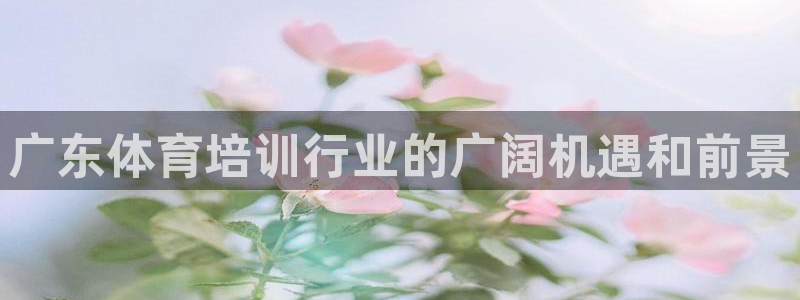 欧陆娱乐打什么方案：广东体育培训行业的广阔机遇和前景