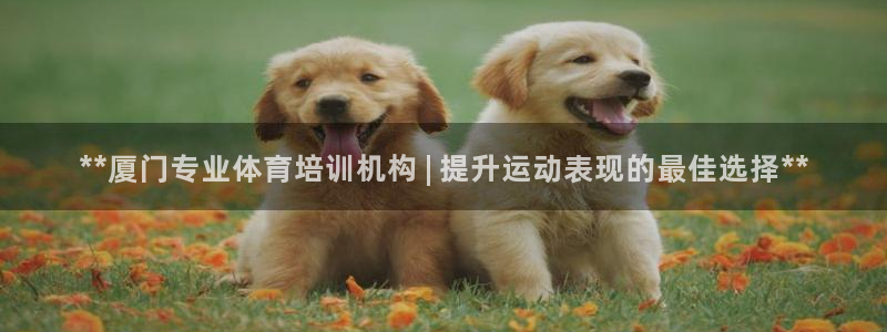 欧陆娱乐平台登录不上去了：**厦门专业体育培训机构 